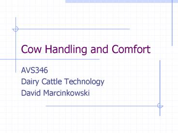 Cow Handling and Comfort
