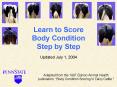 Learn to Score Body Condition Step by Step PowerPoint PPT Presentation