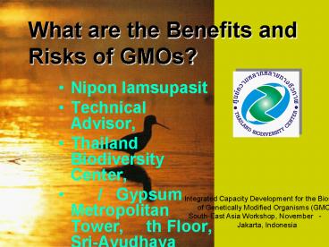 What are the Benefits and Risks of GMOs?