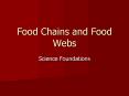 Food Chains and Food Webs PowerPoint PPT Presentation