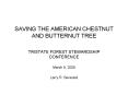 SAVING THE AMERICAN CHESTNUT AND BUTTERNUT TREE PowerPoint PPT Presentation