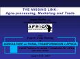 Overview of USAID Grant to CCA Africas PublicPrivate Engagement for Agribusiness Linkages PowerPoint PPT Presentation