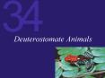 Deuterostomate Animals PowerPoint PPT Presentation