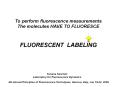 To perform fluorescence measurements PowerPoint PPT Presentation