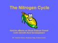 The Nitrogen Cycle PowerPoint PPT Presentation