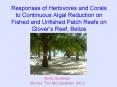 Responses of Herbivores and Corals to Continuous Algal Reduction on Fished and Unfished Patch Reefs PowerPoint PPT Presentation