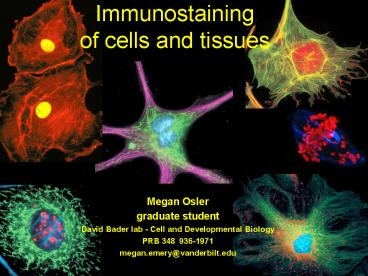 Immunostaining of cells and tissues