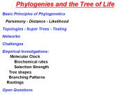 Phylogenies and the Tree of Life