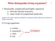 What distinguishes living organisms?
