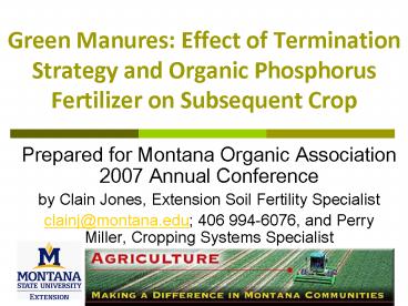 Green Manures: Effect of Termination Strategy and Organic Phosphorus Fertilizer on Subsequent Crop