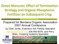 Green Manures: Effect of Termination Strategy and Organic Phosphorus Fertilizer on Subsequent Crop PowerPoint PPT Presentation