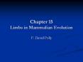 Chapter%2015%20Limbs%20in%20Mammalian%20Evolution PowerPoint PPT Presentation