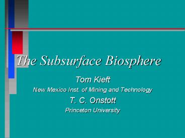 The Subsurface Biosphere
