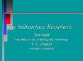 The Subsurface Biosphere PowerPoint PPT Presentation