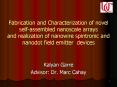Fabrication and Characterization of novel selfassembled nanoscale arrays and realization of nanowire PowerPoint PPT Presentation