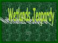 Wetlands Jeopardy PowerPoint PPT Presentation