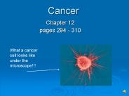 Cancer