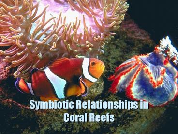 Symbiotic Relationships in Coral Reefs