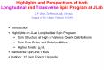 Highlights and Perspectives of both Longitudinal and Transverse Spin Program at JLab PowerPoint PPT Presentation