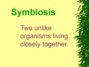 Symbiosis