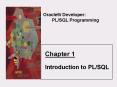 Oracle9i Developer: PowerPoint PPT Presentation