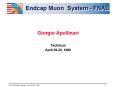 Endcap Muon System FNAL PowerPoint PPT Presentation