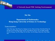 A Networkbased PDE Solving Environment