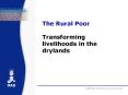 The Rural Poor  Transforming livelihoods in the drylands PowerPoint PPT Presentation
