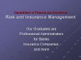 Department of Finance and Insurance Risk and Insurance Management PowerPoint PPT Presentation