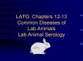 LATG: Chapters 12-13 Common Diseases of Lab Animals Lab Animal Serology PowerPoint PPT Presentation