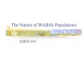 The Nature of Wildlife Populations PowerPoint PPT Presentation