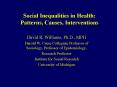 Social Inequalities in Health: Patterns, Causes, Interventions PowerPoint PPT Presentation