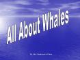 All About Whales PowerPoint PPT Presentation
