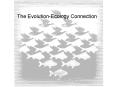 The EvolutionEcology Connection PowerPoint PPT Presentation