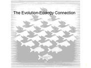 The EvolutionEcology Connection