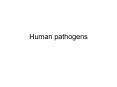 Human%20pathogens PowerPoint PPT Presentation