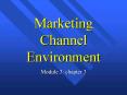 Marketing Channel Environment PowerPoint PPT Presentation