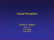 Visual Perception
