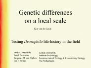 Genetic differences on a local scale