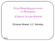 From Branching processes to Phylogeny: