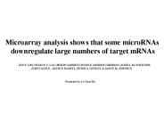 Microarray analysis shows that some microRNAs