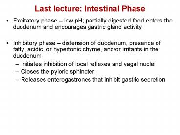 Last lecture: Intestinal Phase