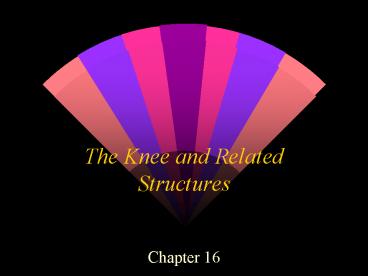 The Knee and Related Structures