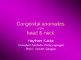 Congenital anomalies of the head PowerPoint PPT Presentation