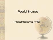 World Biomes