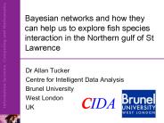 Bayesian networks and how they can