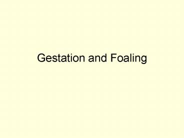 Gestation and Foaling