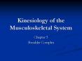 Kinesiology of the Musculoskeletal System PowerPoint PPT Presentation