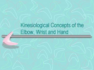 Kinesiological Concepts of the Elbow, Wrist and Hand