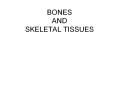 BONES%20AND%20SKELETAL%20TISSUES PowerPoint PPT Presentation